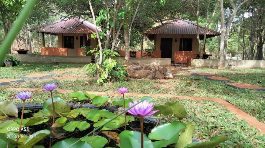 סיגירייה Niyagala Lodge מראה חיצוני תמונה
