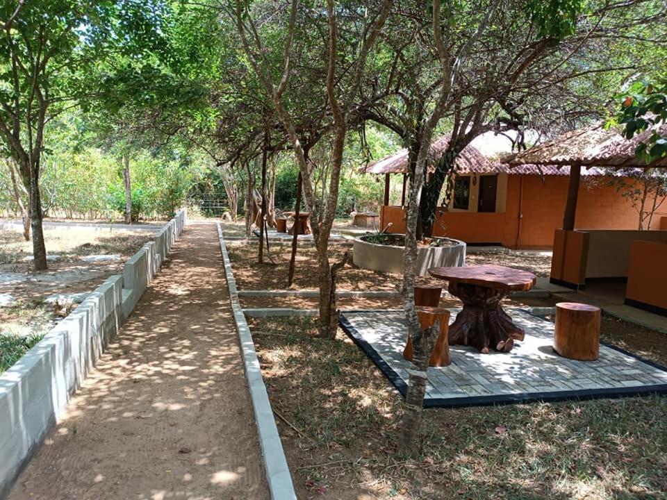 סיגירייה Niyagala Lodge מראה חיצוני תמונה